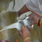 Vraj-Yatra-2014- (873)